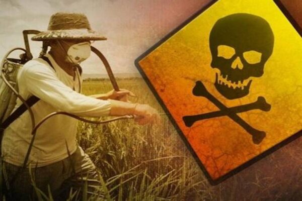 AgroPublic | Δίπλα στον αγρότη, καθημερινά αγροτικά νέα, γεωπονικές δημοσιεύσεις, κτηνοτροφία, ελαιοκομία, αμπελουργία | fytofarmaka