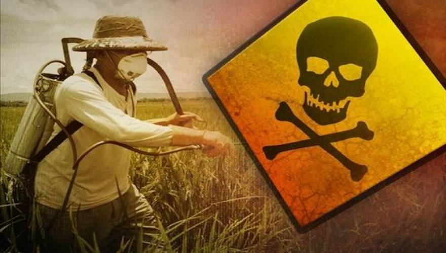 AgroPublic | Δίπλα στον αγρότη, καθημερινά αγροτικά νέα, γεωπονικές δημοσιεύσεις, κτηνοτροφία, ελαιοκομία, αμπελουργία | fytofarmaka