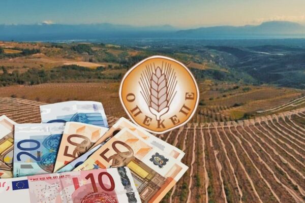 AgroPublic | Δίπλα στον αγρότη, καθημερινά αγροτικά νέα, γεωπονικές δημοσιεύσεις, κτηνοτροφία, ελαιοκομία, αμπελουργία | opekepe Copy
