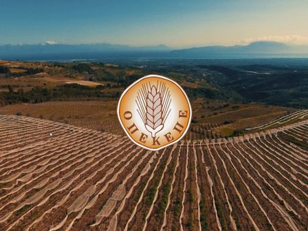 AgroPublic | Δίπλα στον αγρότη, καθημερινά αγροτικά νέα, γεωπονικές δημοσιεύσεις, κτηνοτροφία, ελαιοκομία, αμπελουργία | opekepe2024 448x336 1