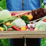 AgroPublic | Δίπλα στον αγρότη, καθημερινά αγροτικά νέα, γεωπονικές δημοσιεύσεις, κτηνοτροφία, ελαιοκομία, αμπελουργία | βιο
