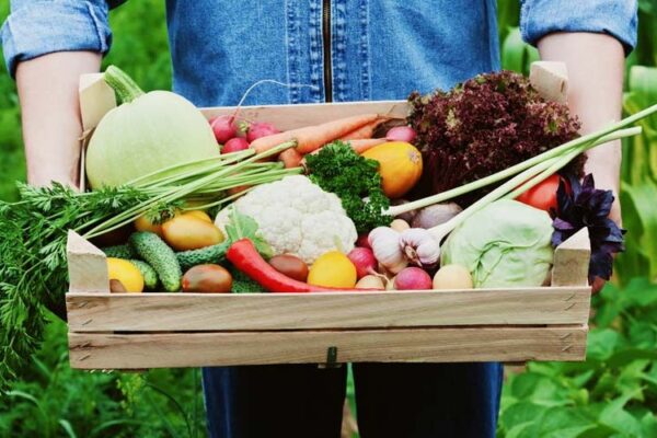 AgroPublic | Δίπλα στον αγρότη, καθημερινά αγροτικά νέα, γεωπονικές δημοσιεύσεις, κτηνοτροφία, ελαιοκομία, αμπελουργία | βιο