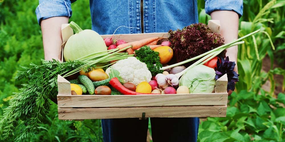 AgroPublic | Δίπλα στον αγρότη, καθημερινά αγροτικά νέα, γεωπονικές δημοσιεύσεις, κτηνοτροφία, ελαιοκομία, αμπελουργία | βιο