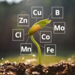 AgroPublic | Δίπλα στον αγρότη, καθημερινά αγροτικά νέα, γεωπονικές δημοσιεύσεις, κτηνοτροφία, ελαιοκομία, αμπελουργία | ιχνοστοιχεια