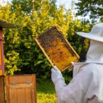 AgroPublic | Δίπλα στον αγρότη, καθημερινά αγροτικά νέα, γεωπονικές δημοσιεύσεις, κτηνοτροφία, ελαιοκομία, αμπελουργία | melissokomia