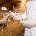 AgroPublic | Δίπλα στον αγρότη, καθημερινά αγροτικά νέα, γεωπονικές δημοσιεύσεις, κτηνοτροφία, ελαιοκομία, αμπελουργία | shutterstock 1655019475 448x336 1