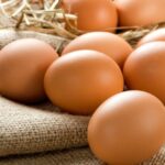 AgroPublic | Δίπλα στον αγρότη, καθημερινά αγροτικά νέα, γεωπονικές δημοσιεύσεις, κτηνοτροφία, ελαιοκομία, αμπελουργία | thehomeissue avga 1024x584 1