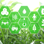 AgroPublic | Δίπλα στον αγρότη, καθημερινά αγροτικά νέα, γεωπονικές δημοσιεύσεις, κτηνοτροφία, ελαιοκομία, αμπελουργία | ΙΟΤ2