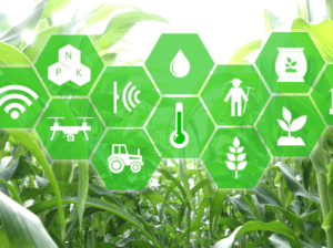 AgroPublic | Δίπλα στον αγρότη, καθημερινά αγροτικά νέα, γεωπονικές δημοσιεύσεις, κτηνοτροφία, ελαιοκομία, αμπελουργία | ΙΟΤ2