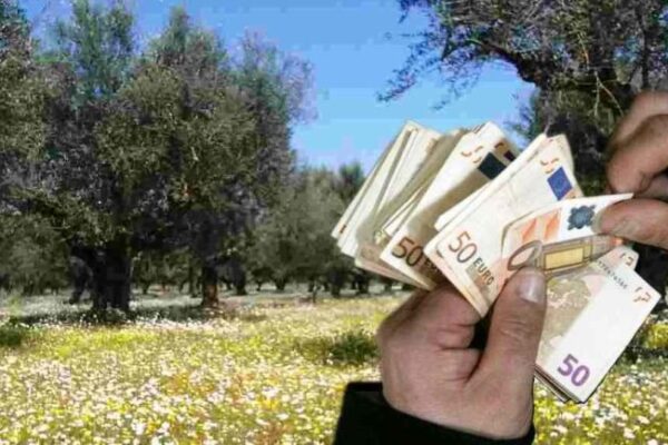 Πού πήγαν τα λεφτά; 2,4 δις οι επιδοτήσεις κάθε χρόνο