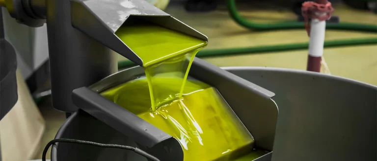 Το τυνησιακό ελαιόλαδο απειλεί με χαμηλές τιμές