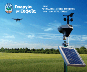 Σεμινάριο Ελιάς Banner