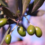 Φωτογραφία: Pixabay