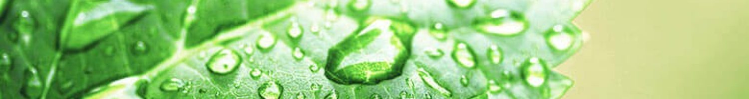 wuxal-foliar-fertilizer-suspension-leaf-droplets wuxal-foliar-fertilizer-suspension-leaf-droplets